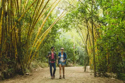 Exploring tranquility - A couples travel journey through Vietnams bamboo forests